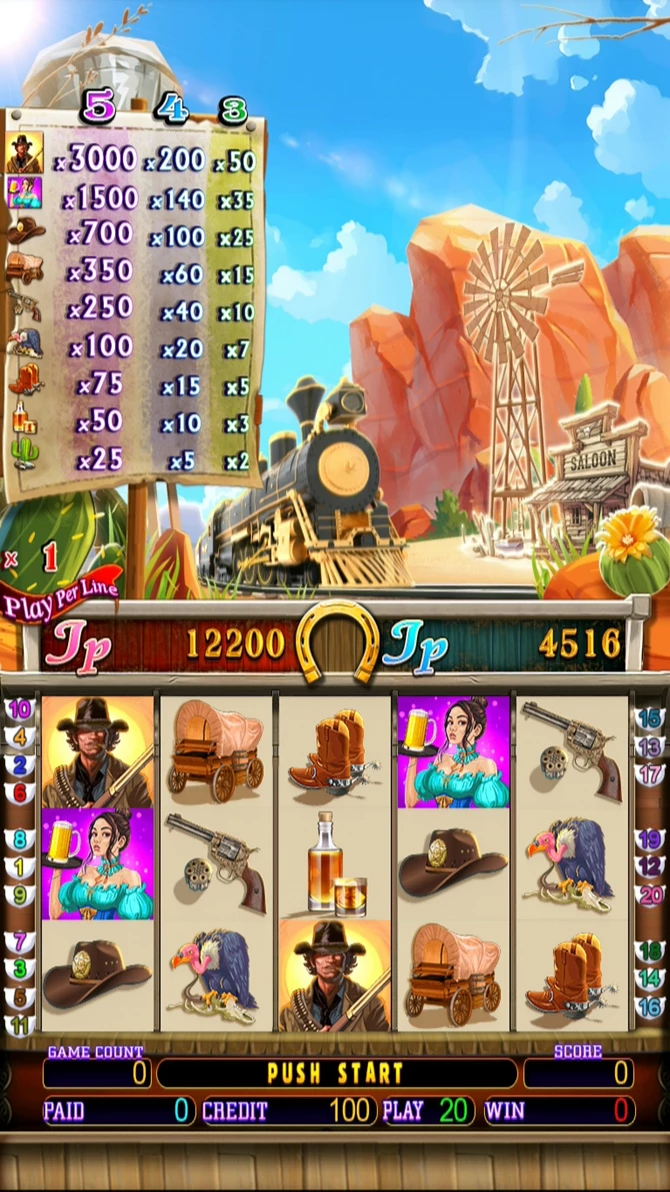 MS7964 FUN COMPANY WILD WILD WEST BOARD